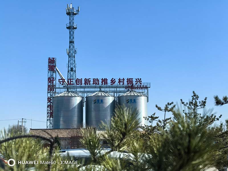 ������ί��ǳ����µ����ɽ��Ե�������촴�·�չ